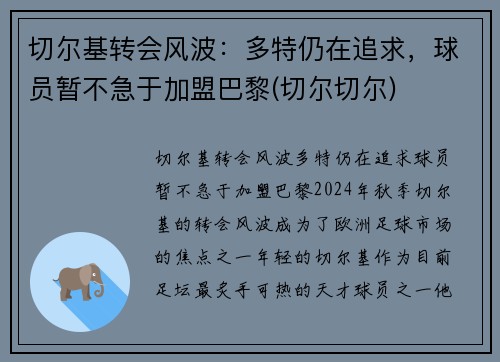 切尔基转会风波：多特仍在追求，球员暂不急于加盟巴黎(切尔切尔)