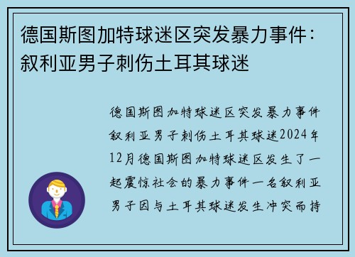 德国斯图加特球迷区突发暴力事件：叙利亚男子刺伤土耳其球迷