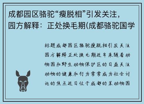 成都园区骆驼“瘦脱相”引发关注，园方解释：正处换毛期(成都骆驼国学老师简介)