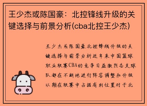 王少杰或陈国豪：北控锋线升级的关键选择与前景分析(cba北控王少杰)