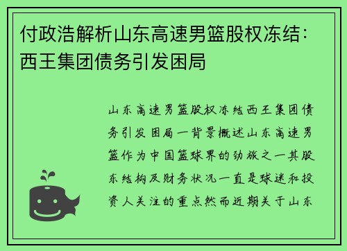 付政浩解析山东高速男篮股权冻结：西王集团债务引发困局
