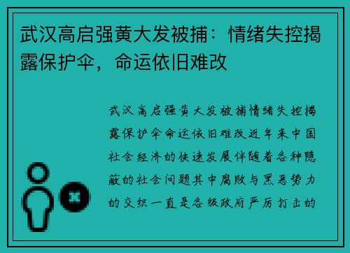 武汉高启强黄大发被捕：情绪失控揭露保护伞，命运依旧难改